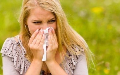 Alergija na polen – korvi i usevi koji je izazivaju.