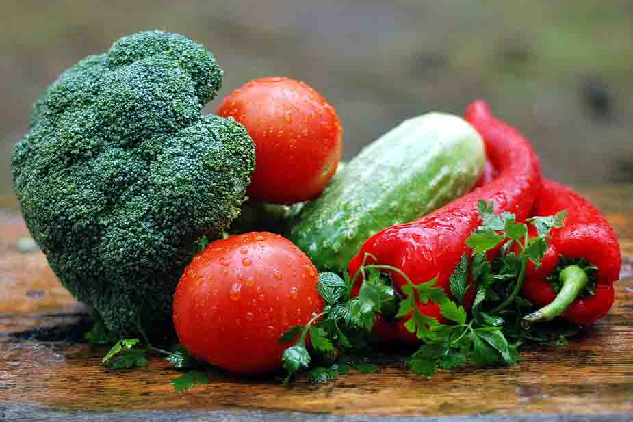organska proizvodnja povrća